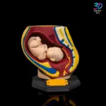 Female Characters Pack | STL for 3D Printers